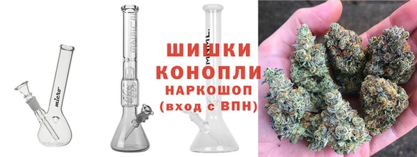 PSILOCYBIN Беломорск