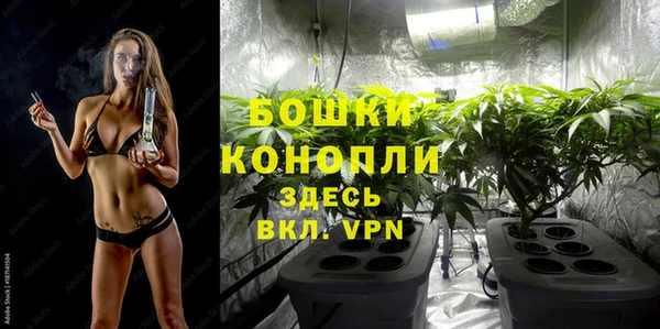 PSILOCYBIN Беломорск